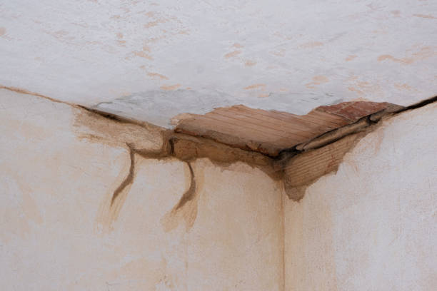 Best Professional water damage repair  in Mahopac, NY