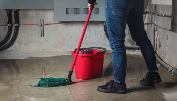 Best Basement water damage restoration  in Mahopac, NY