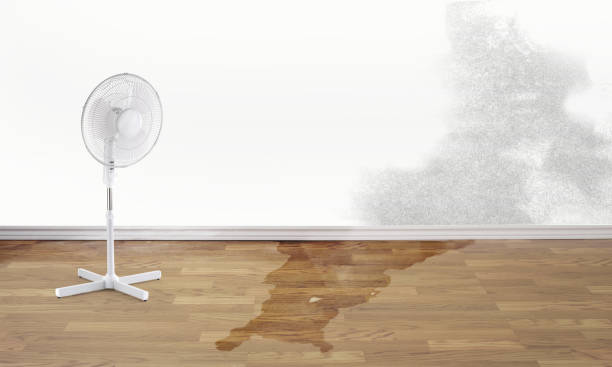 Trusted Mahopac, NY Water damage restoration Experts