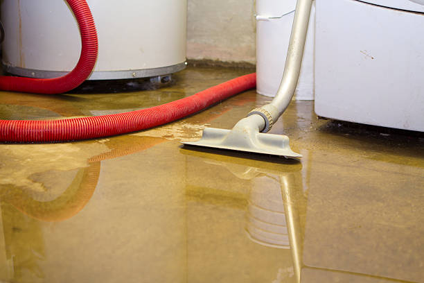 Best Water damage restoration specialists  in Mahopac, NY