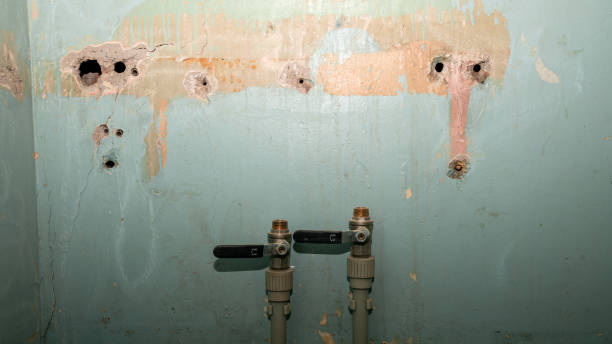 Best Carpet water damage restoration  in Mahopac, NY