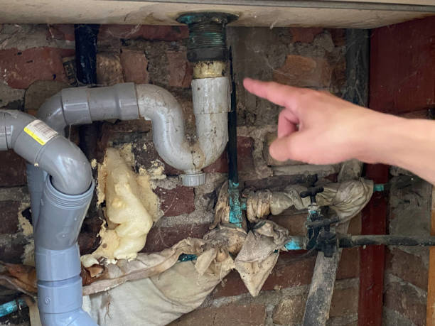 Best Local water damage restoration  in Mahopac, NY