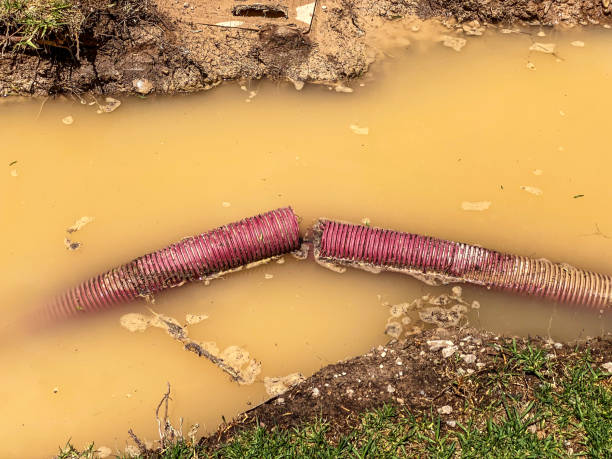 Best Water damage restoration near me  in Mahopac, NY
