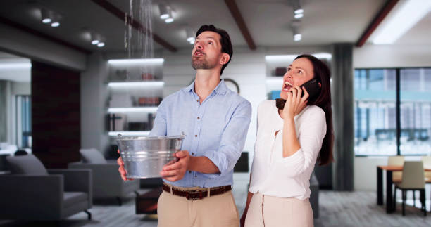 Best Local water damage restoration  in Mahopac, NY