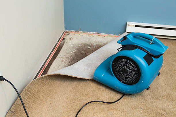  Mahopac, NY Water damage restoration Pros